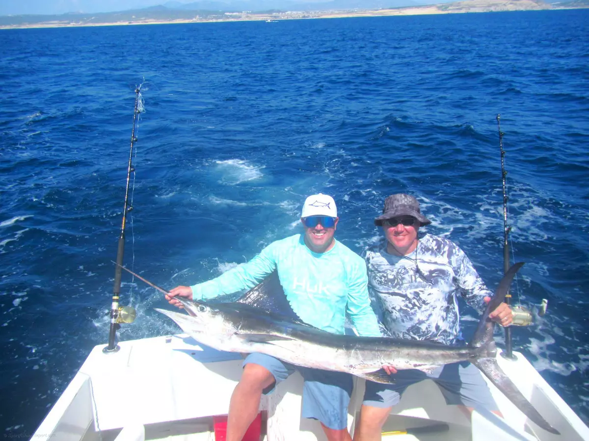 Cabo San Lucas Striped Marlin