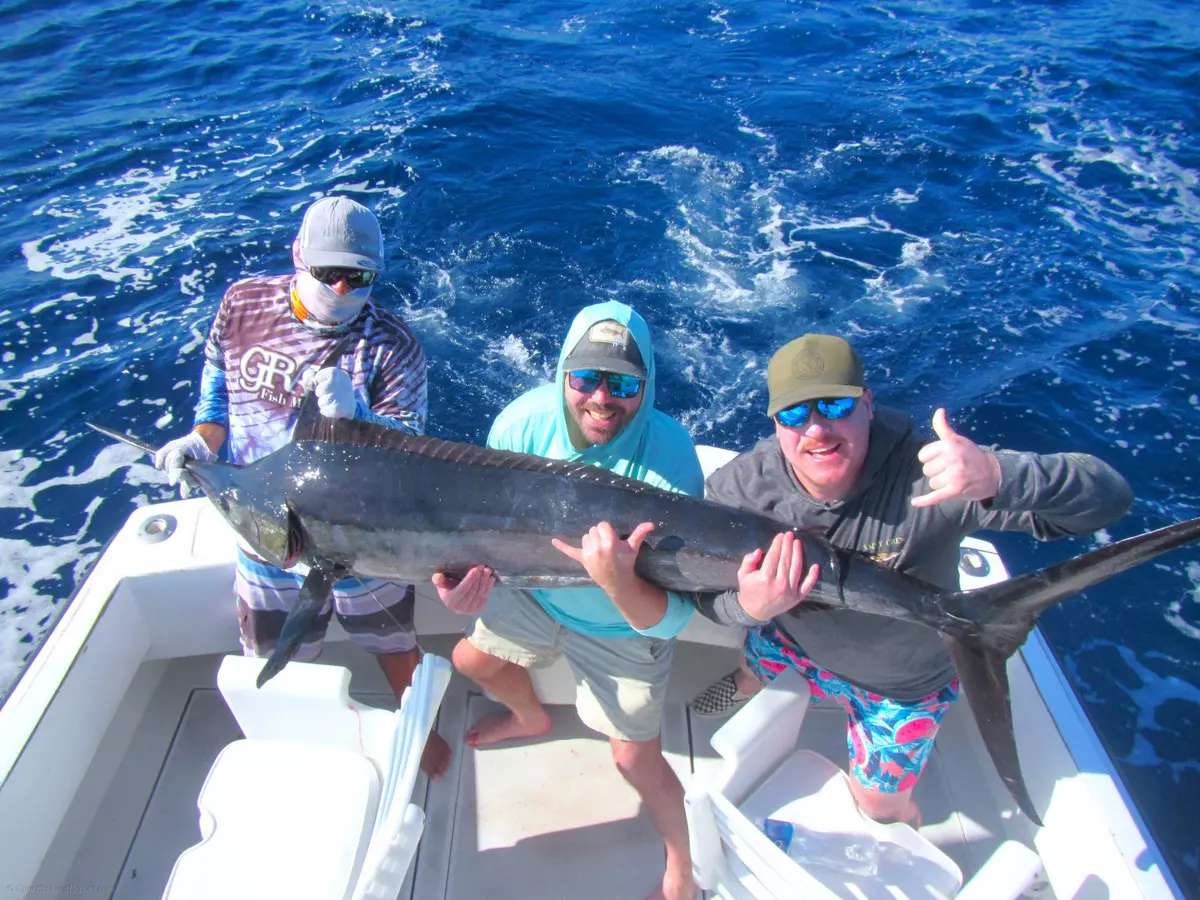 140 lb. Blue Marlin