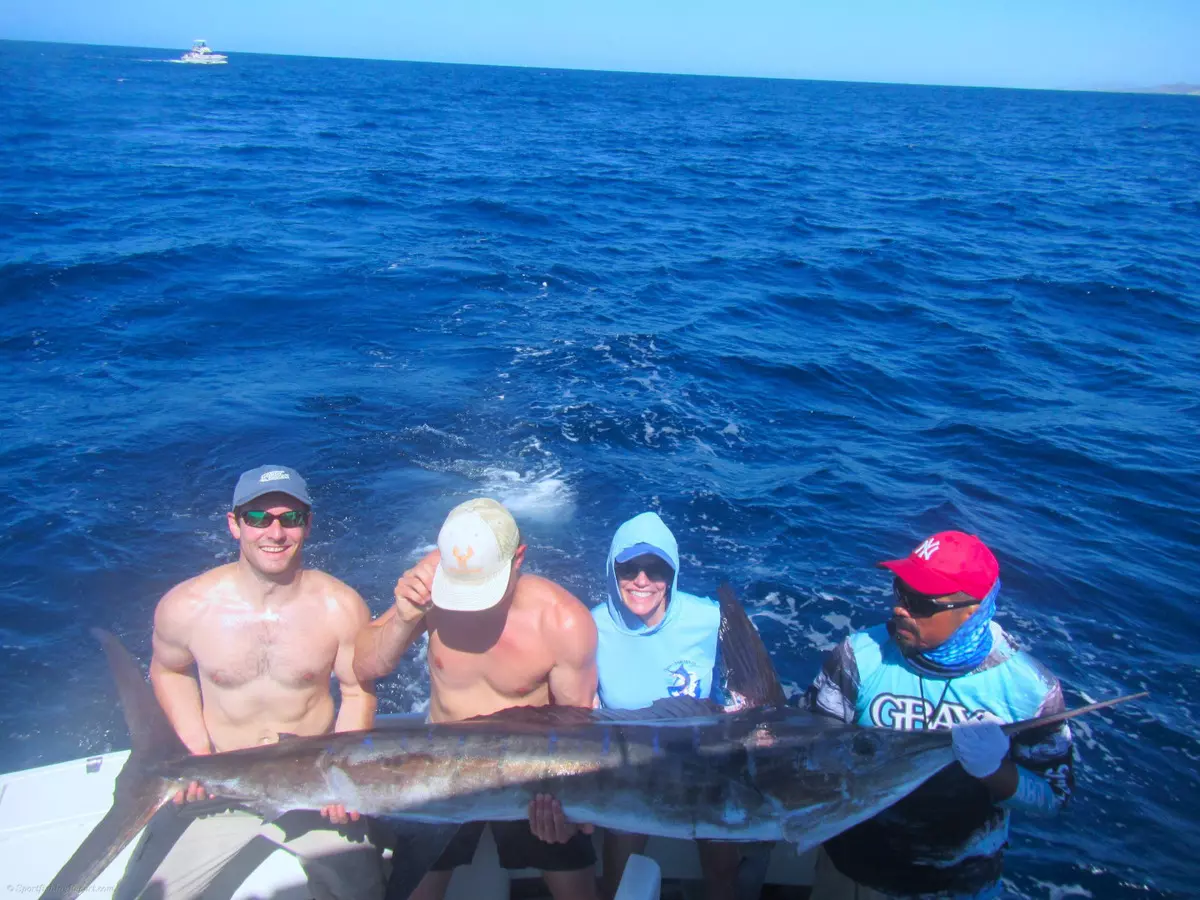 Striped Marlin up to 160 pounds