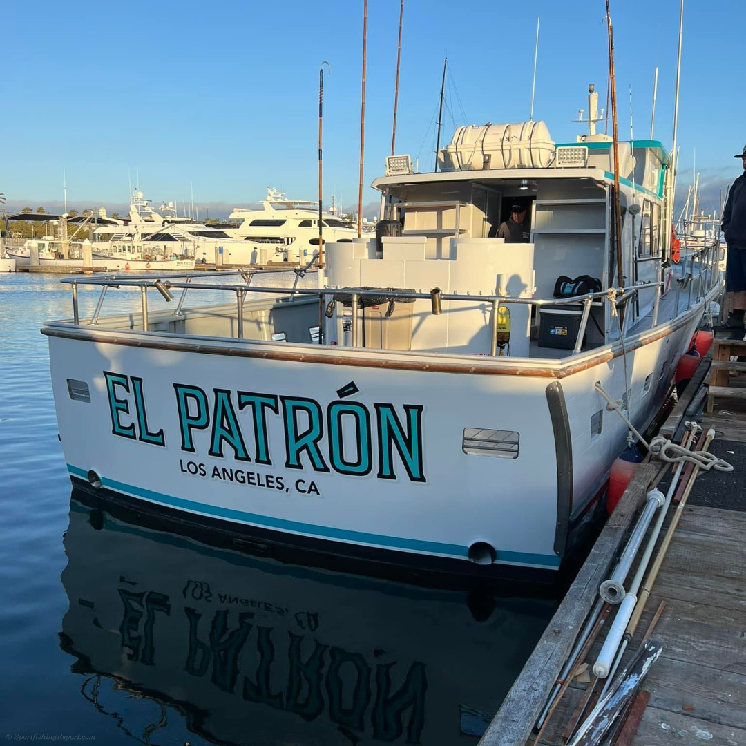 El Patron Sunday Report