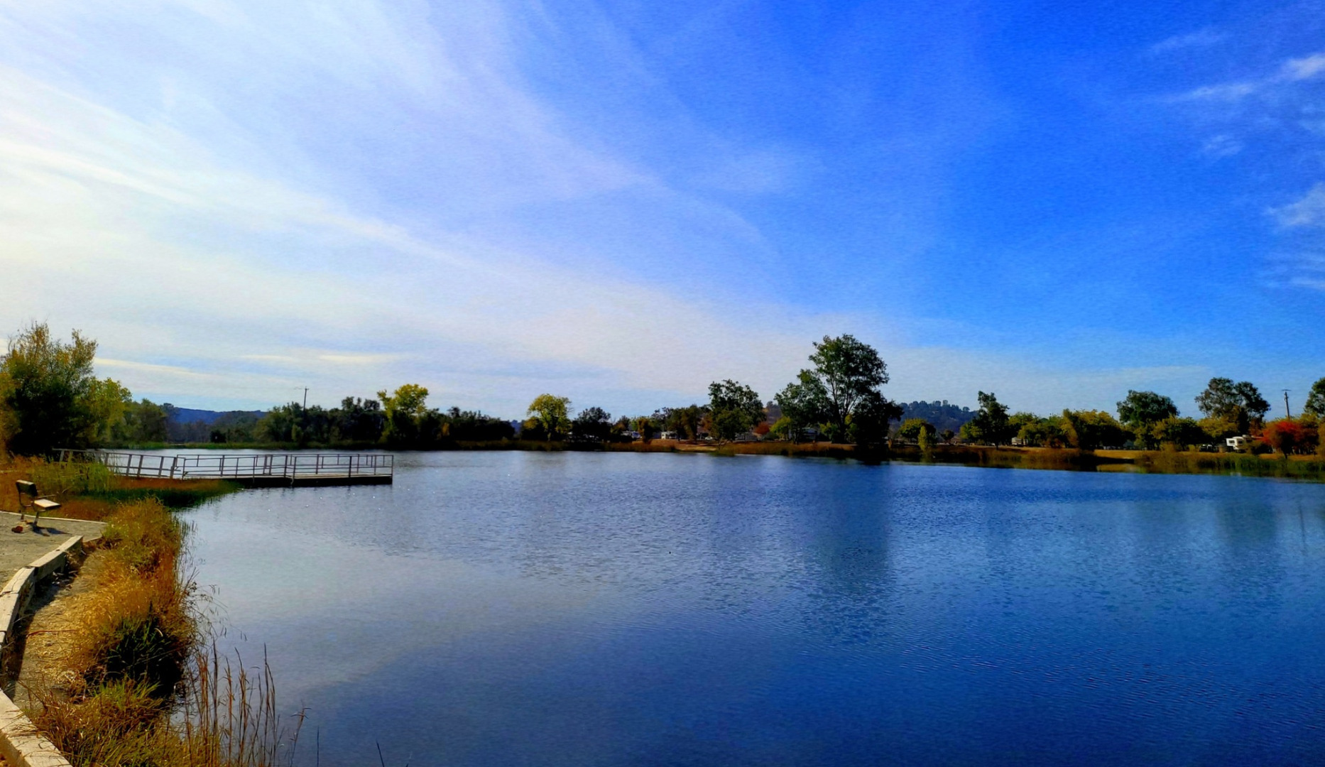 Lake Camanche trout planting season is here!