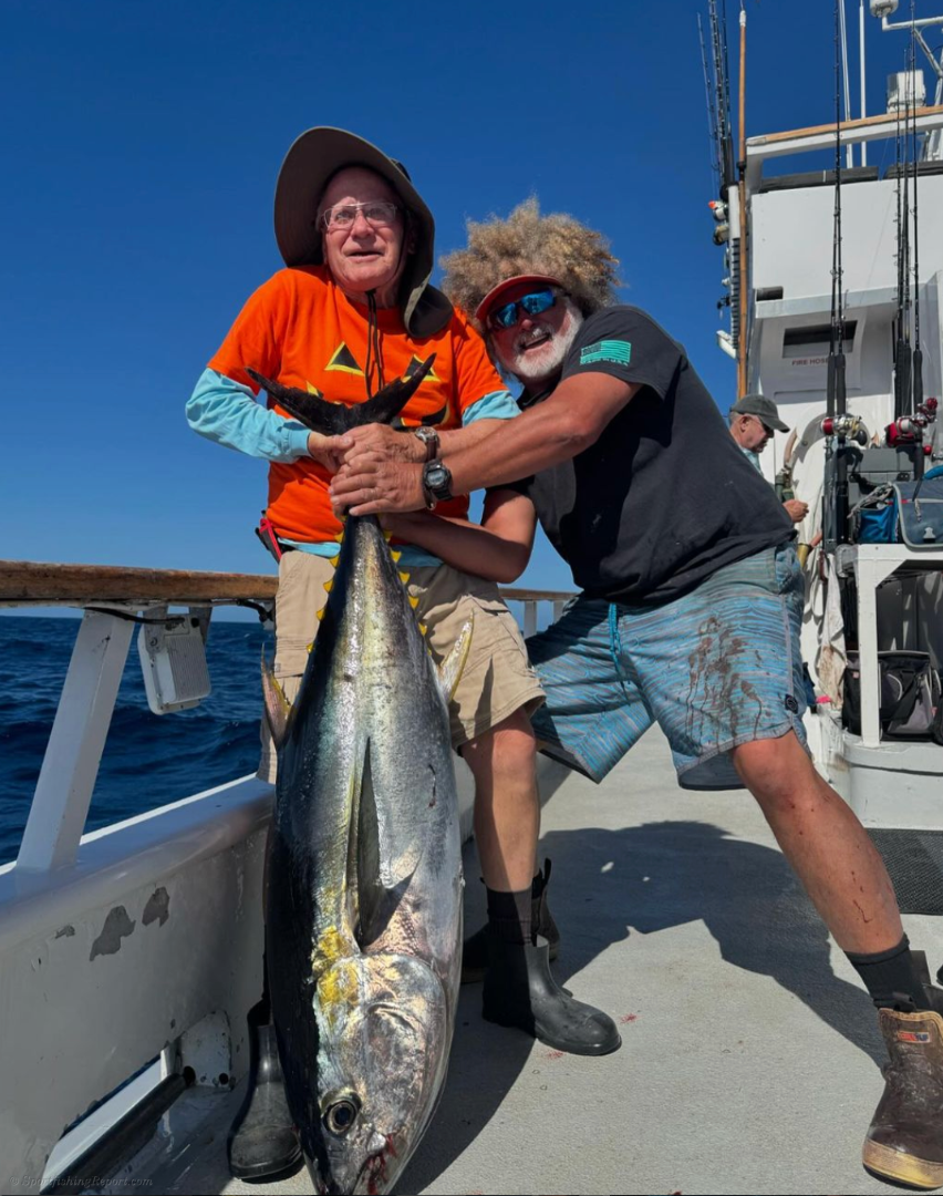  Fun yellowfin fishing continues down below