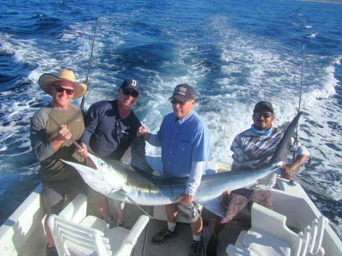 140 lb. Striped Marlin