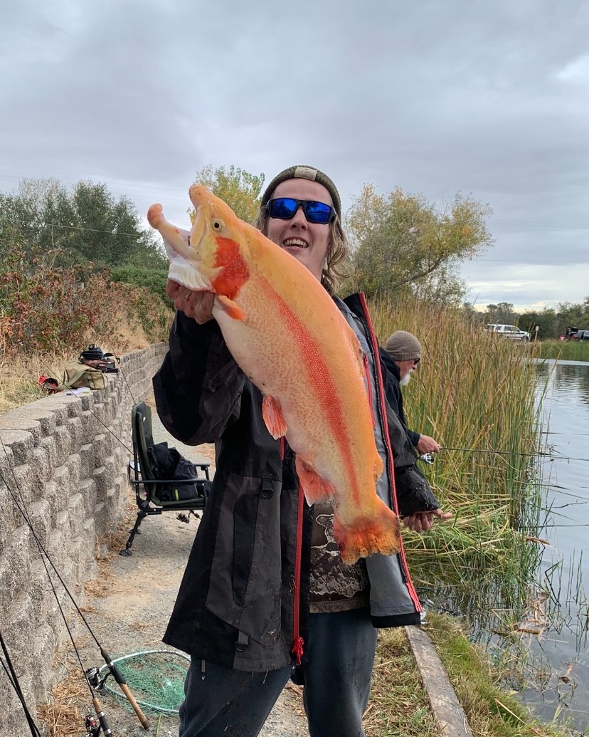 Check out this huge lightning trout catch!