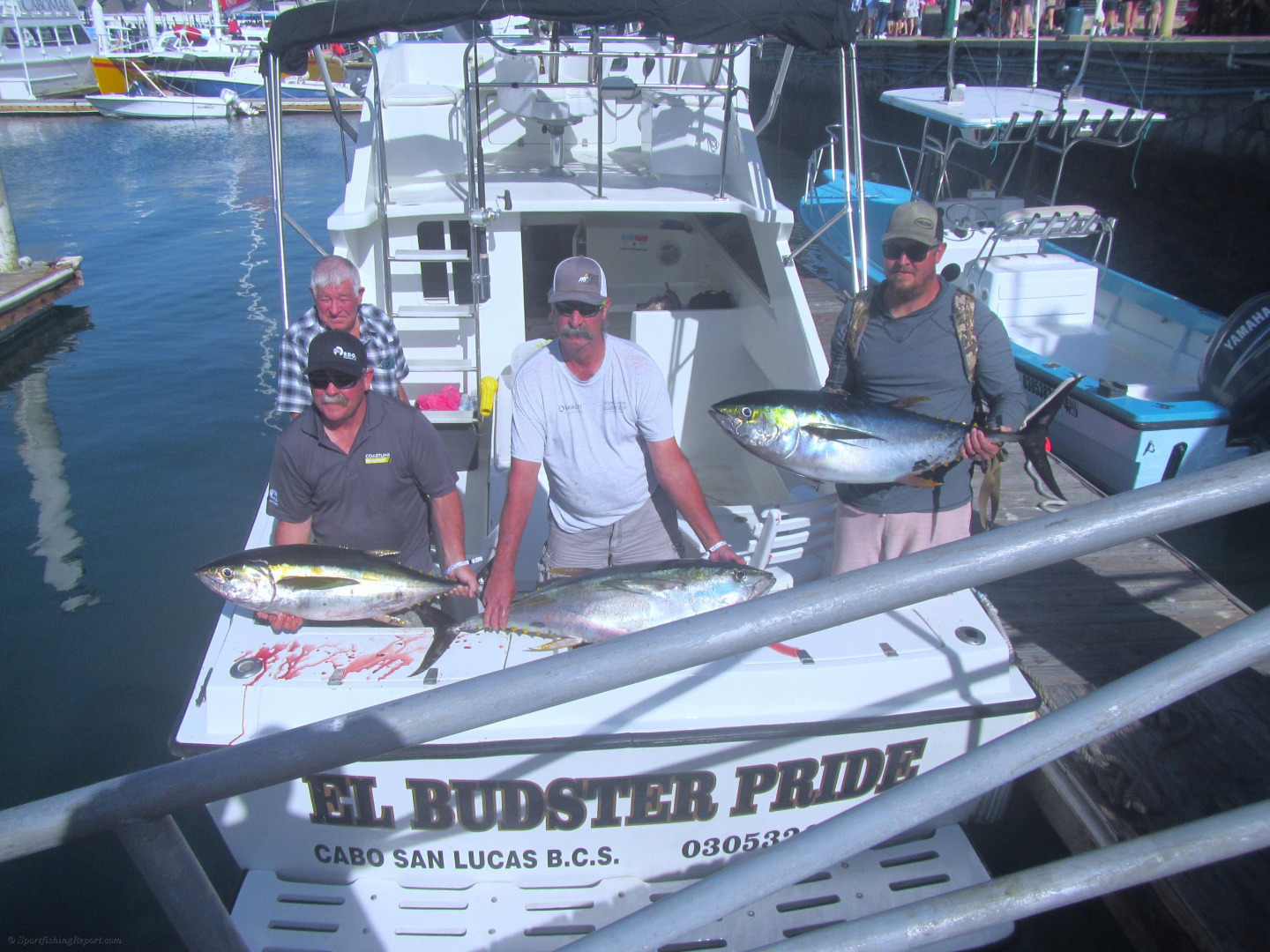 Yellowfin Tuna up to 25 lbs. 