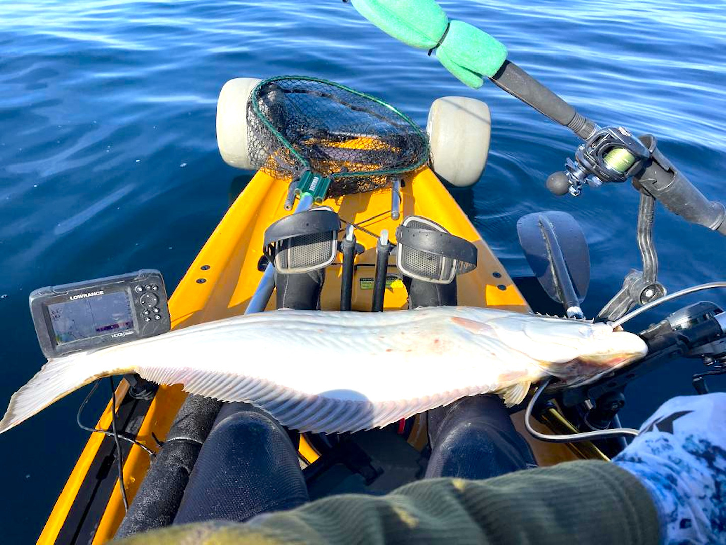 Kayaker Joe Huettl goes sanddab fishing, ends up with surprise catch