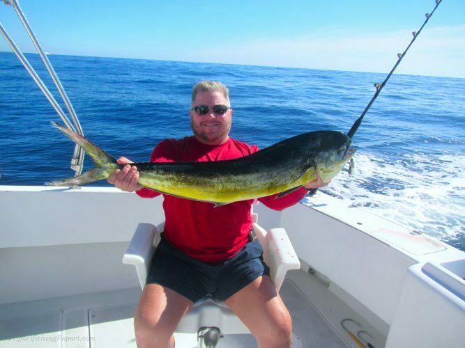 One Dorado around 25LB.