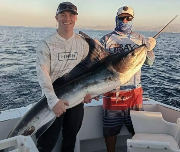 Two 150 LB. Striped Marlin