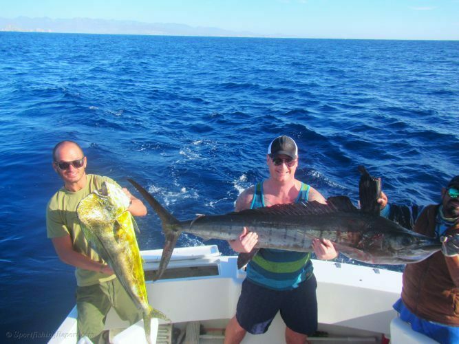 One 150LB. Striped Marlin