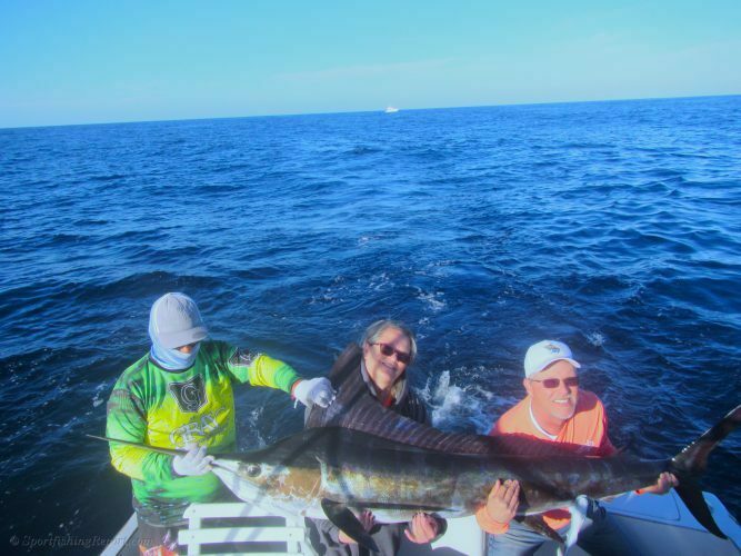 Two 130 LB. and 150 LB. Striped Marlin