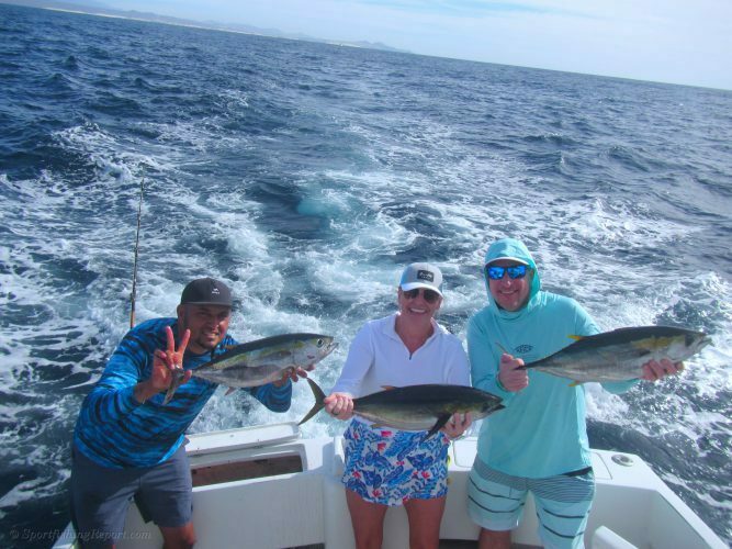 Five Yellowfin Tunas