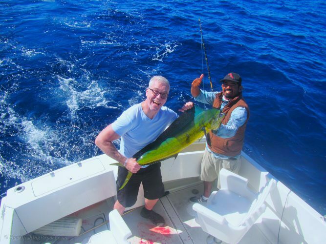 One 20LB. Dorado