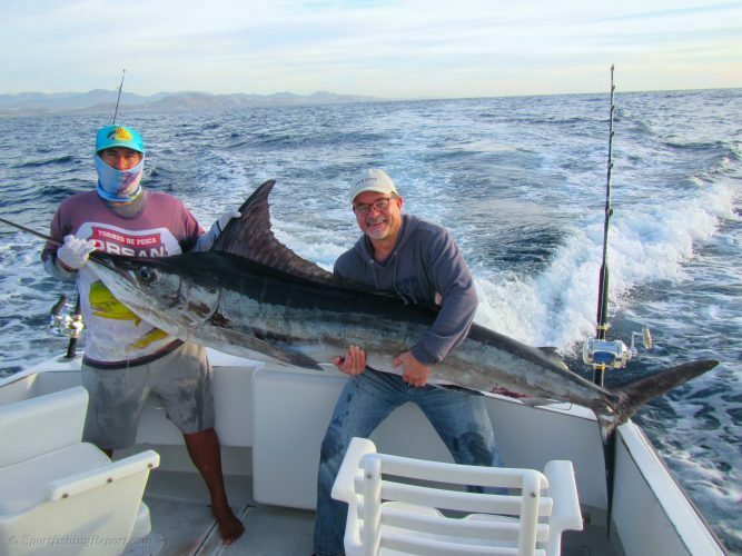 One 180 LB. Striped Marlin