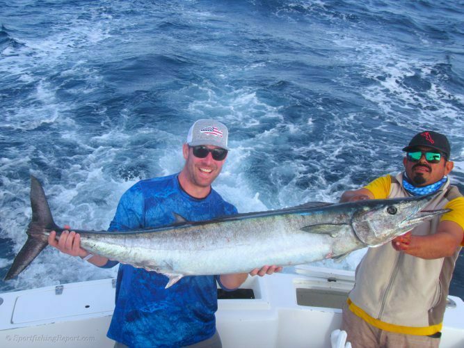 Two 20LB Dorados and One 60LB Wahoo