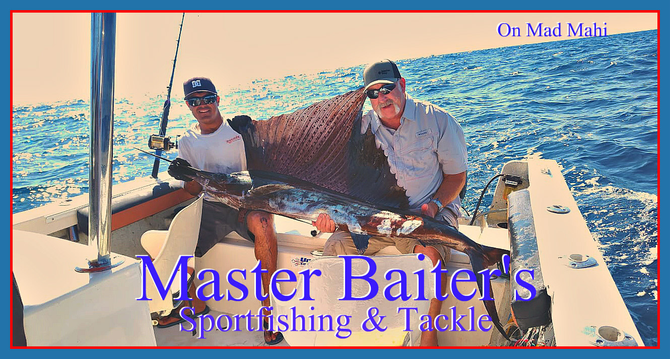 Big Fickle Marlin and Super Abundant Bait