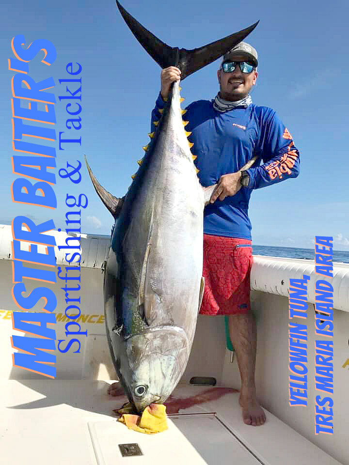 Marlin, Sailfish, Puerto Vallarta Fishing Improves