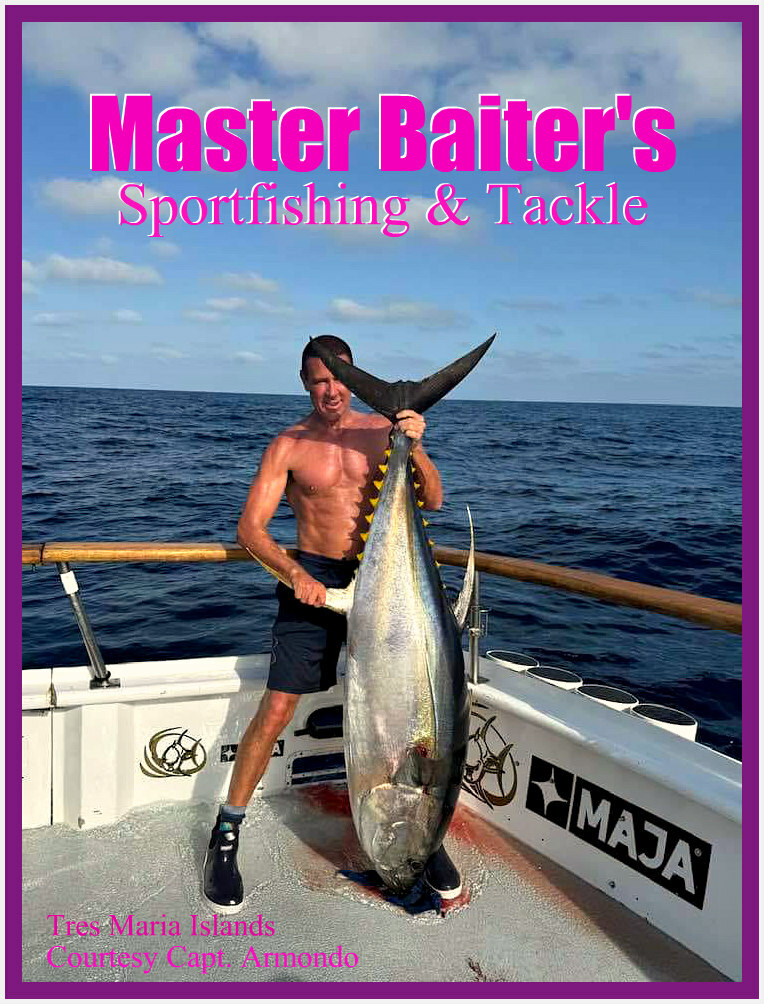 Grande Black Marlin Invade El Banco !