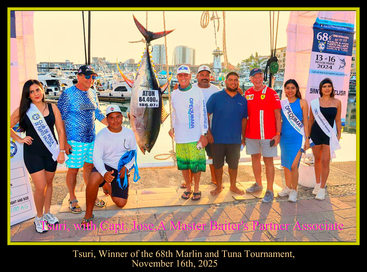 Marlin, Sailfish, and the Big Chill