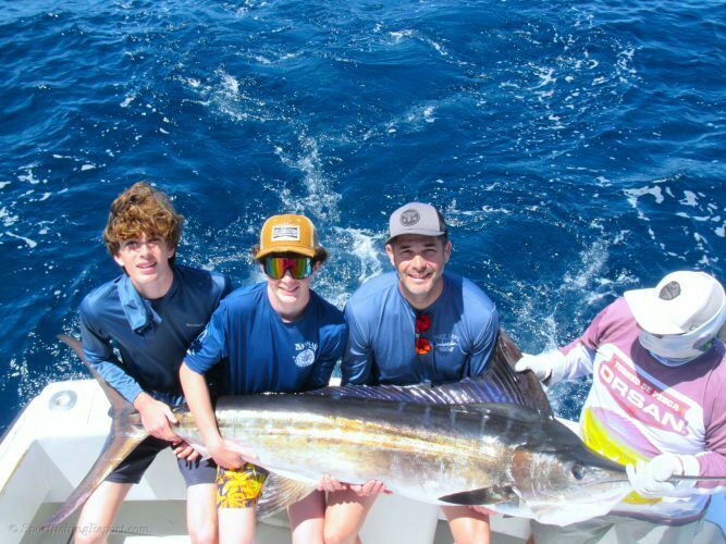 TWO 120LB. and 140LB. STRIPED MARLIN