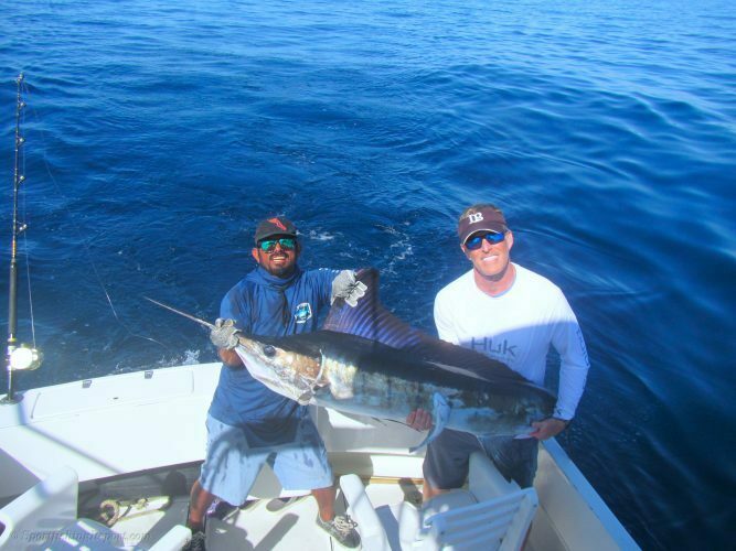 150LB. STRIPED MARLIN