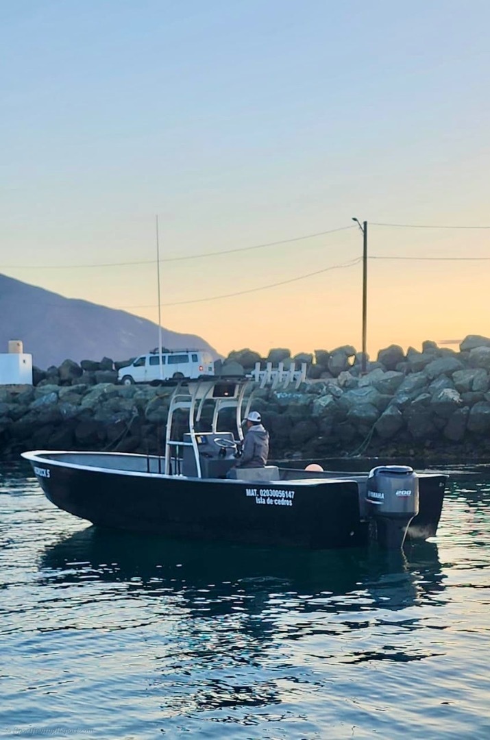 A New Panga