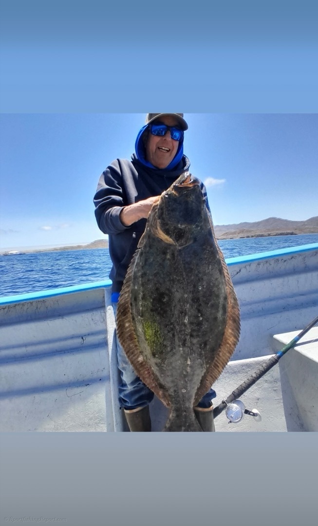 Halibut… 
