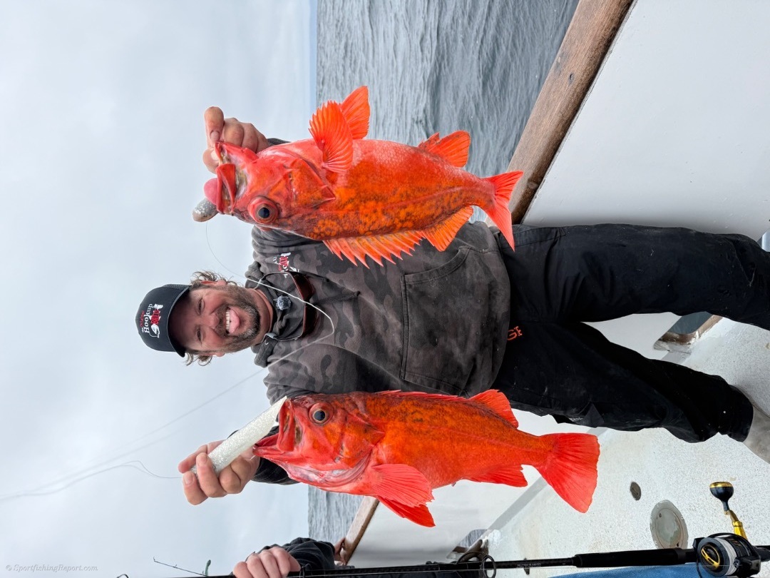12 Hook Up Bait Trip