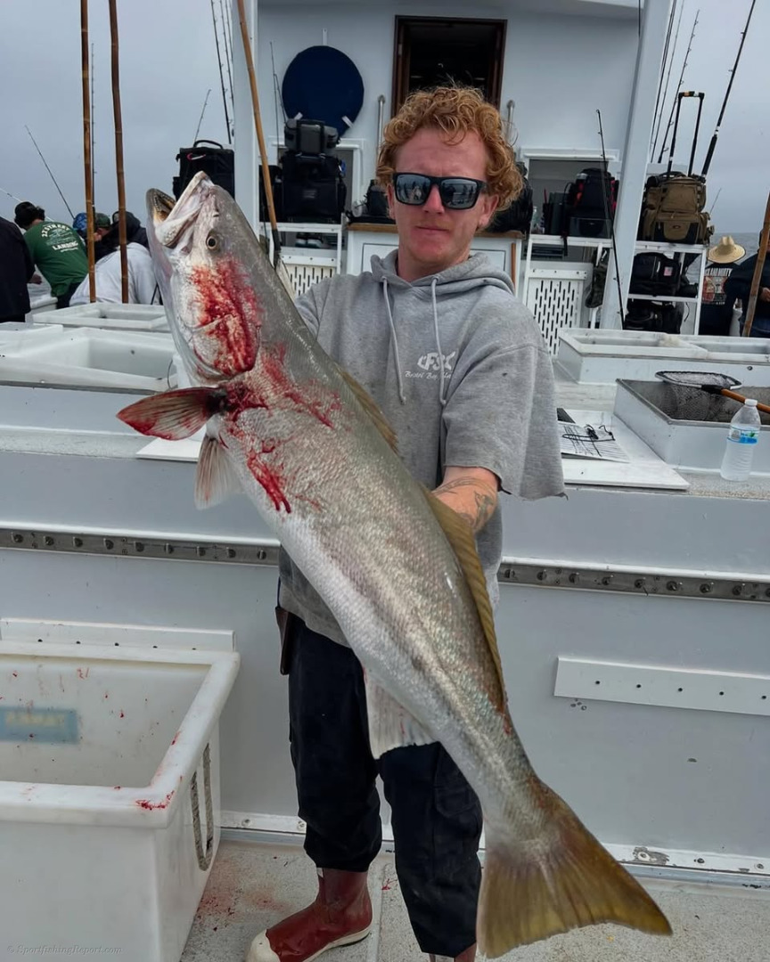 Fish report photo