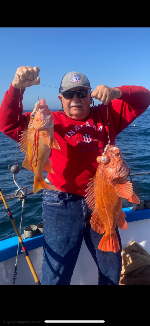 Fish Report - Cover Photo
