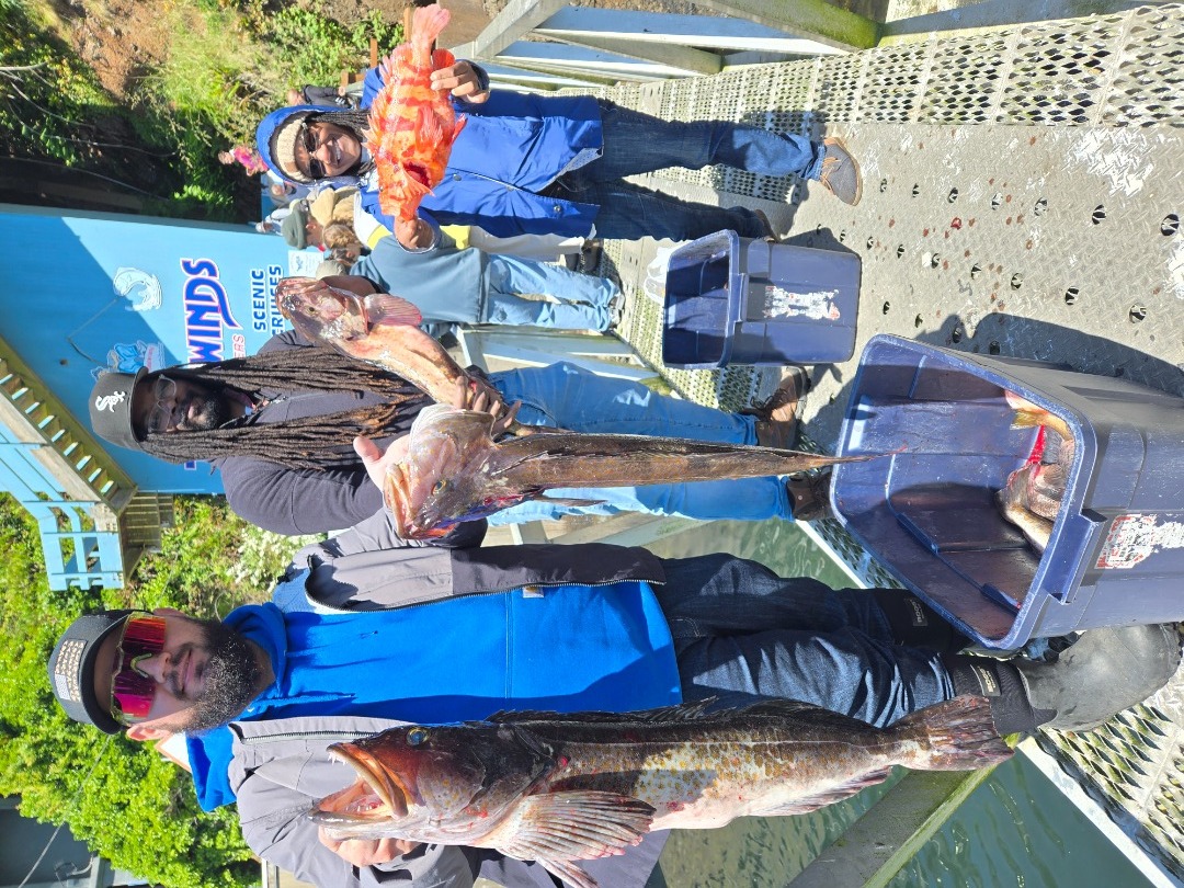 Latest Fish Report