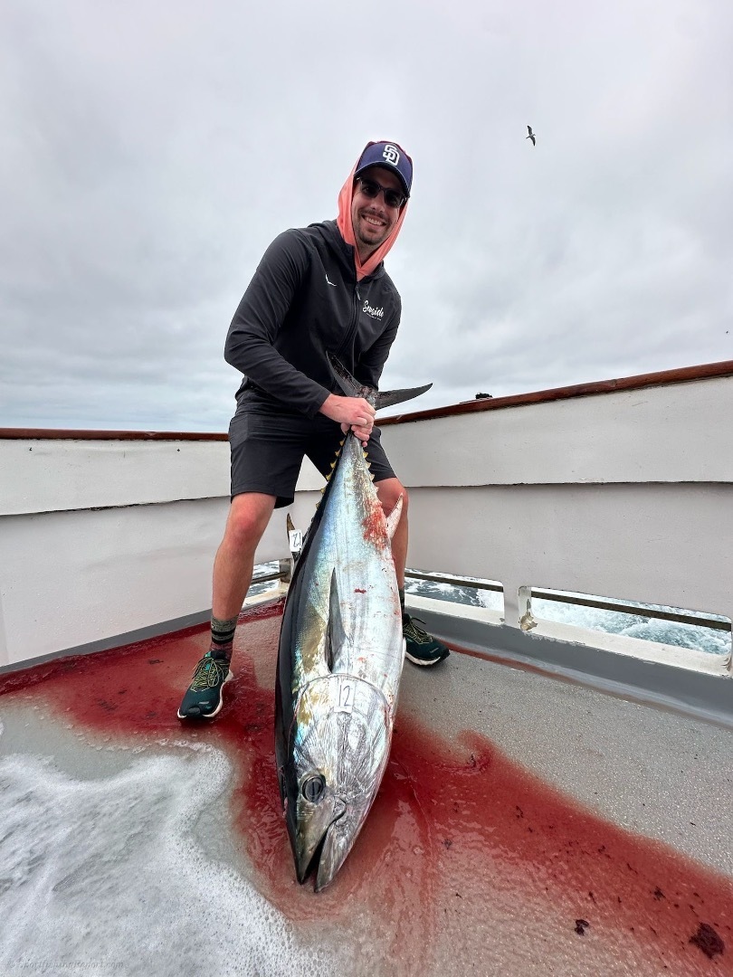Offshore bluefin bite!