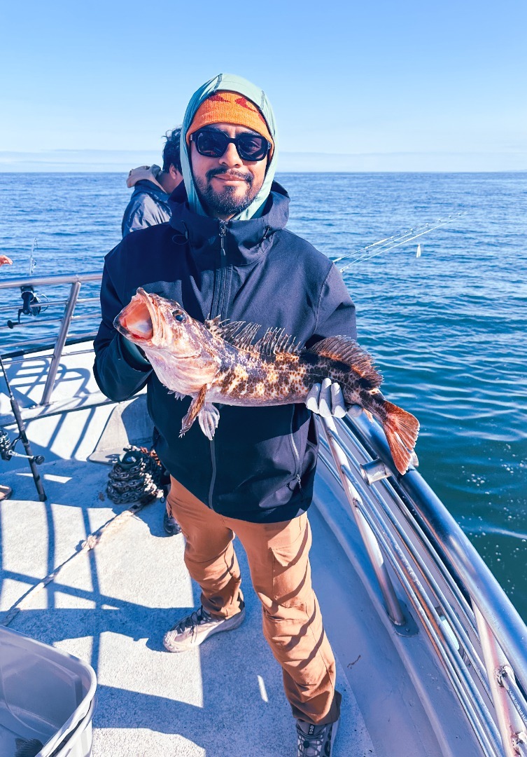 Latest Fish Report