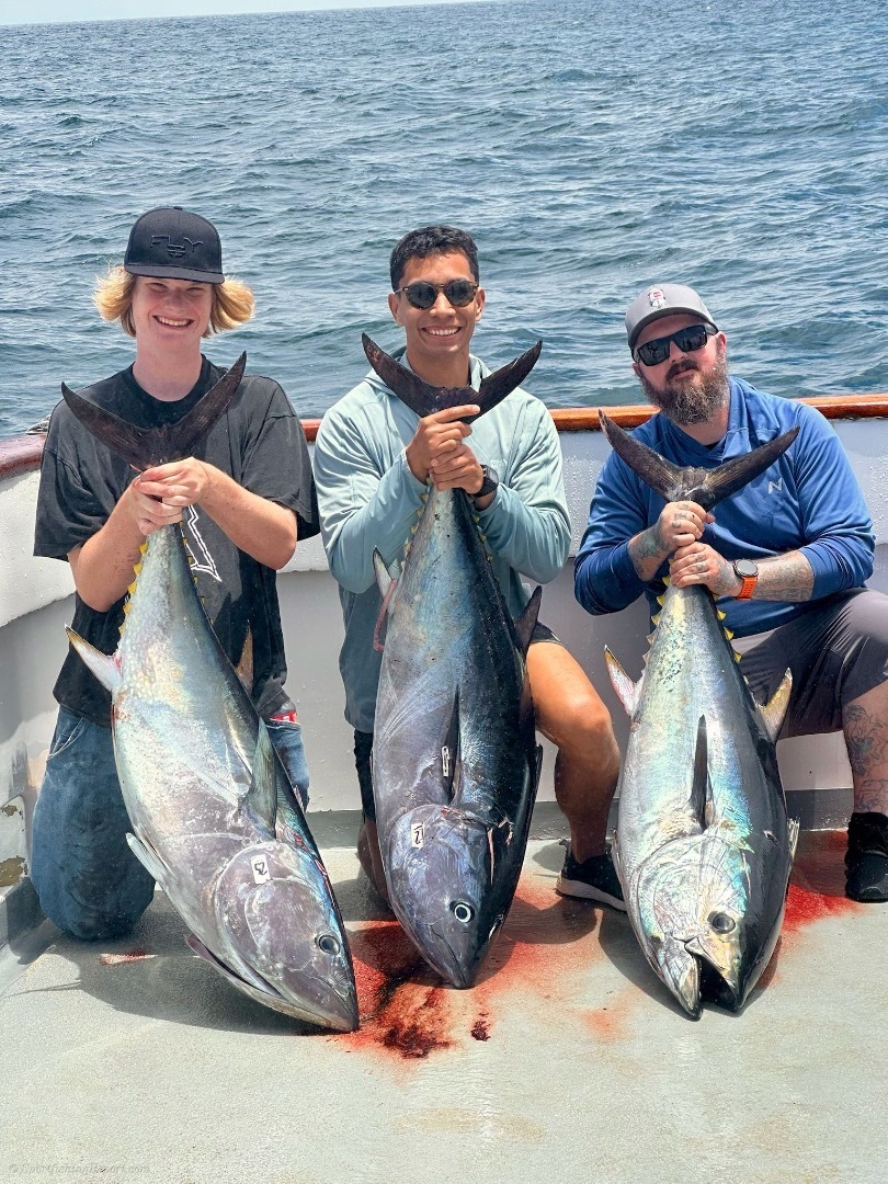 Big bluefin!