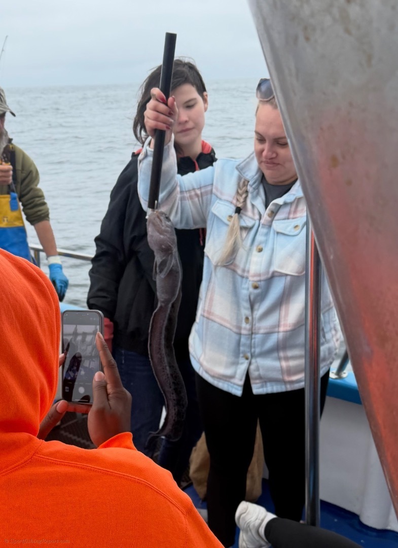 Fish Report - Cover Photo
