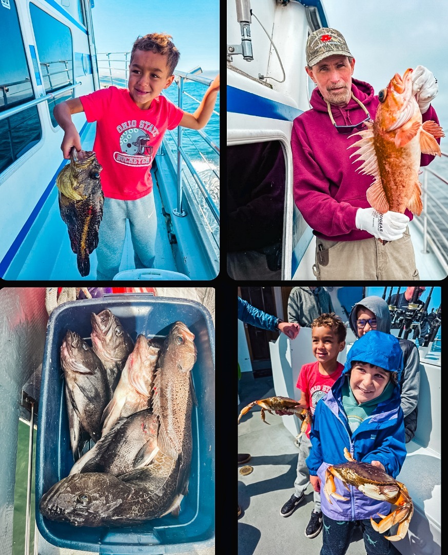 Latest Fish Report