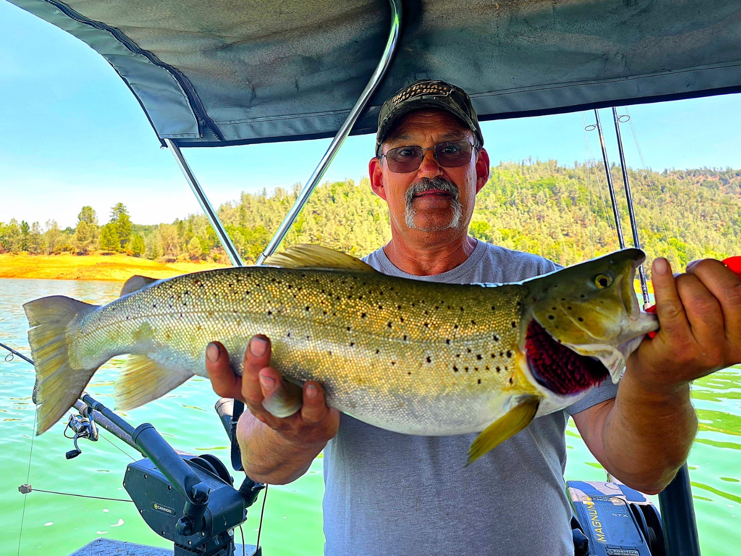 Shasta Lake bounty is on the menu