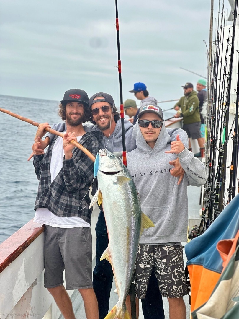 Big yellowtail!