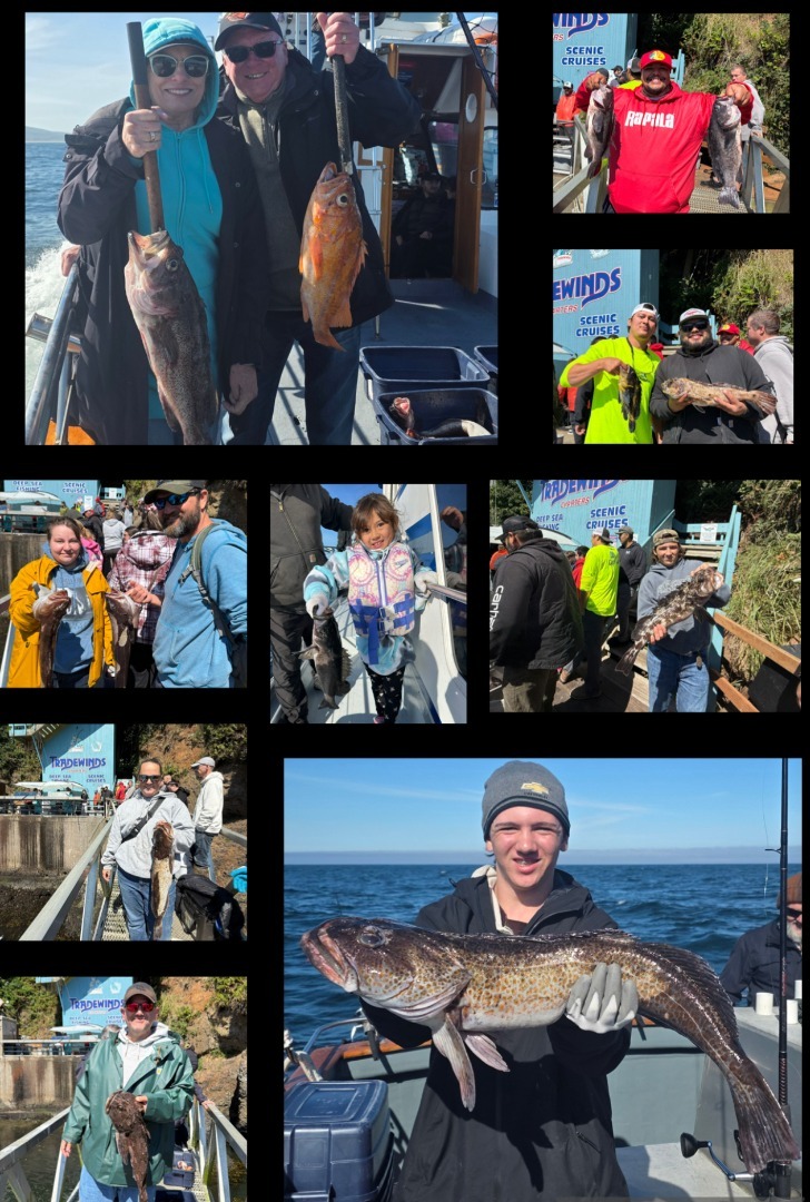Latest Fish Report
