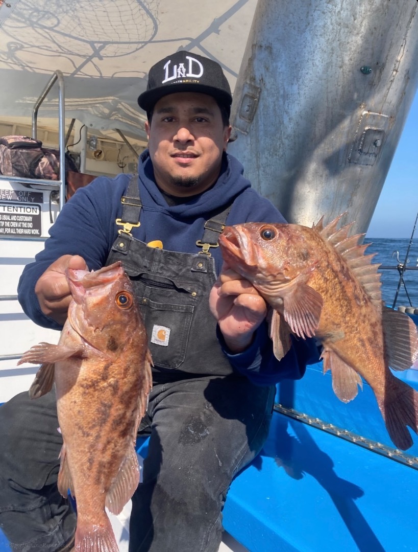 Fish Report - Cover Photo
