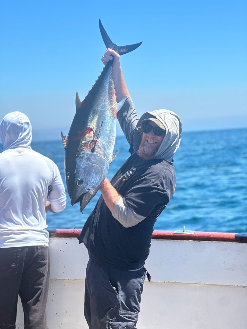 Bluefin at the islands!