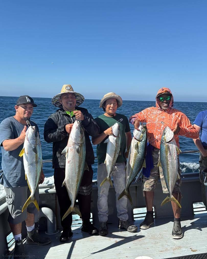 El Patrón Weekly Fishing Report