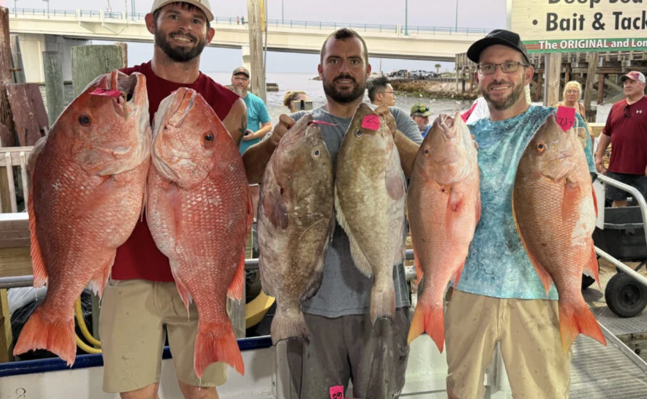 It’s prime time for red snapper season