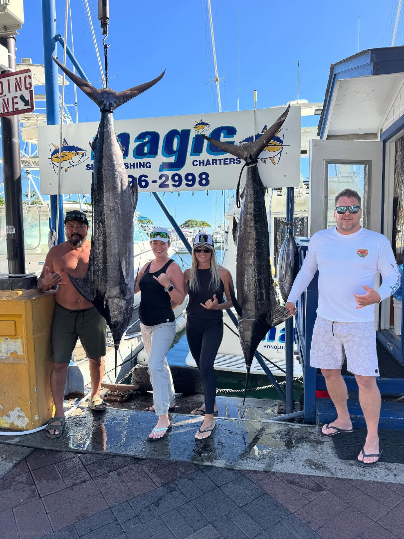 Big Blue Marlin