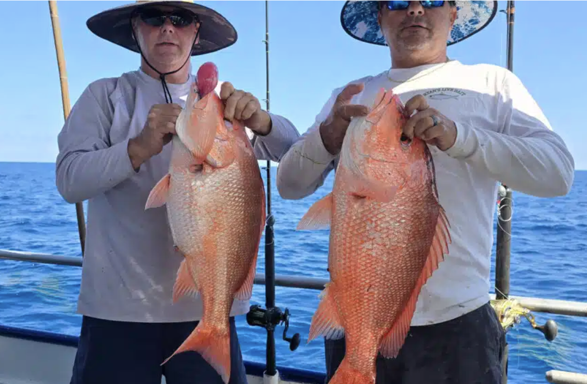 Hubbards Marina Fishing Report