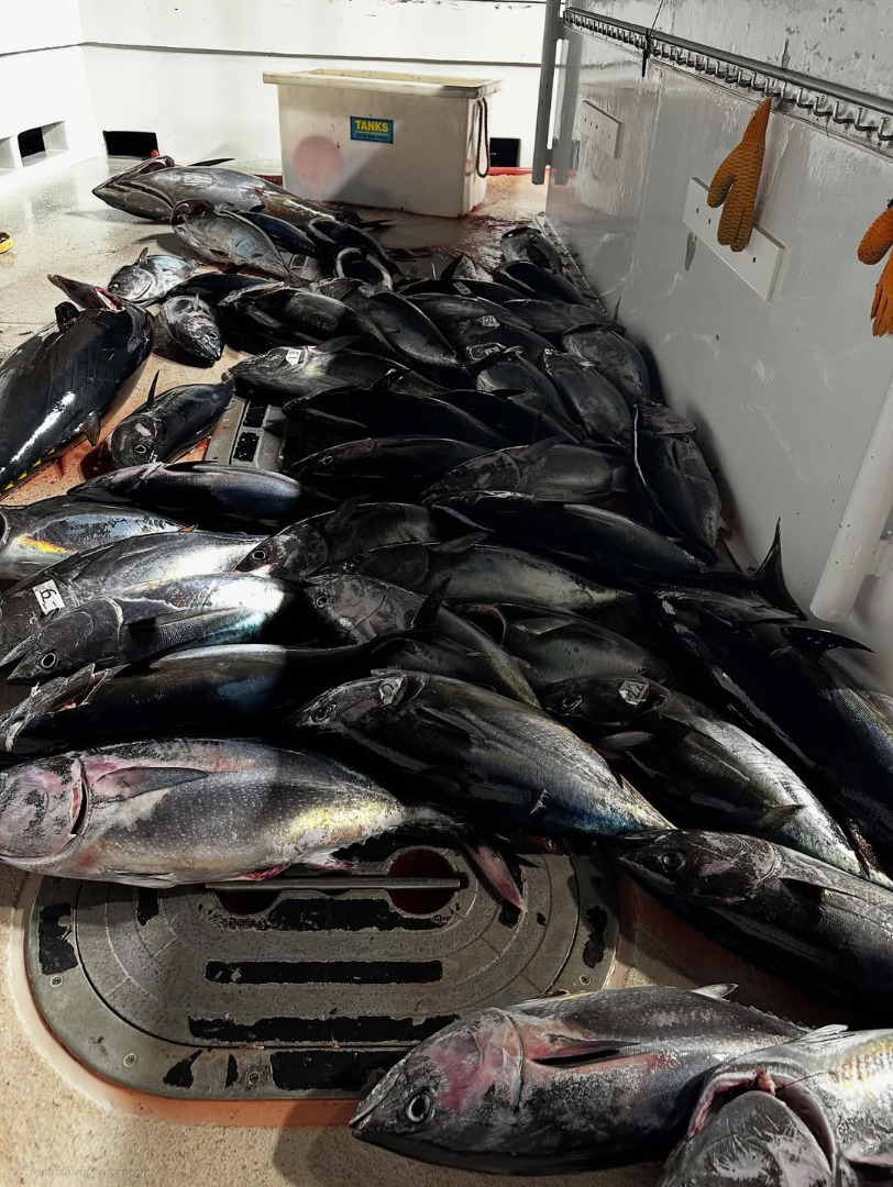 Fish report photo