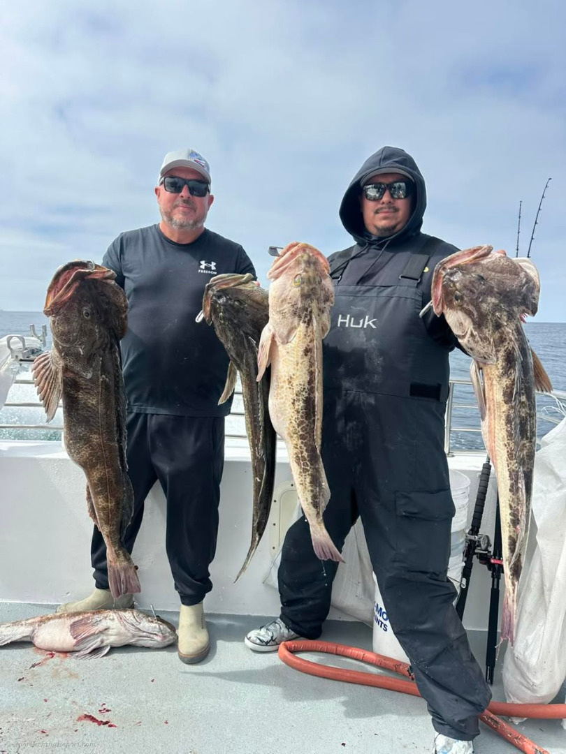 Gorgeous weather and some wide open fishing at the Farallon islands