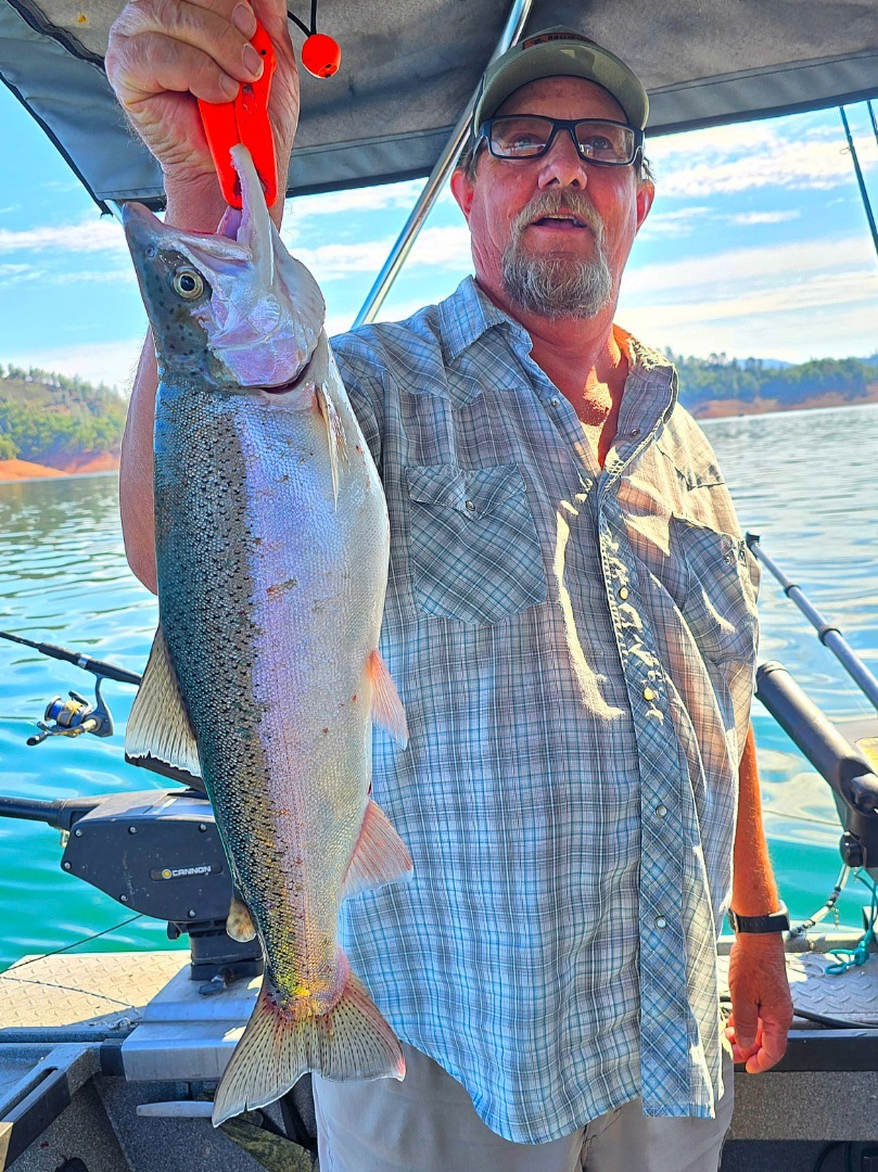 September Trout action on Shasta continues to be Excellent 