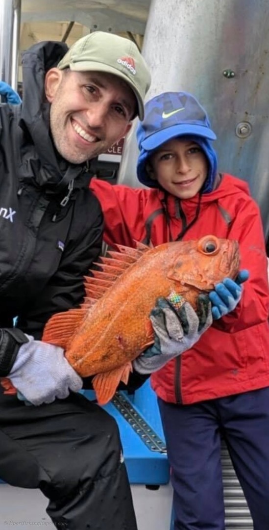 Fish Report - Cover Photo