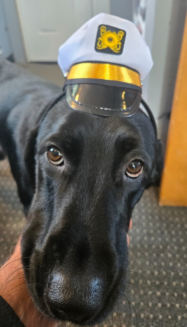 Skipper's Not Liking it 'til Friday