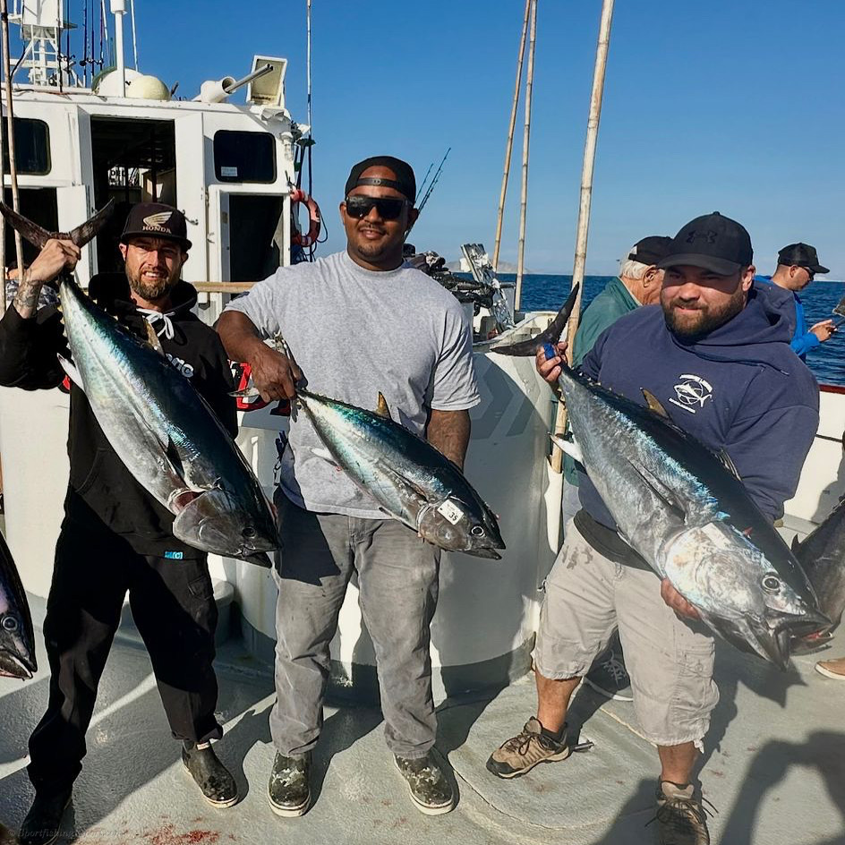 More bluefin!